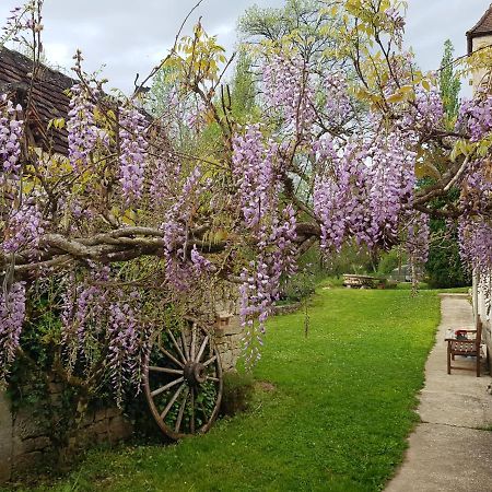 Le Moulin De Jules Et Akasha Panzió Murat Kültér fotó
