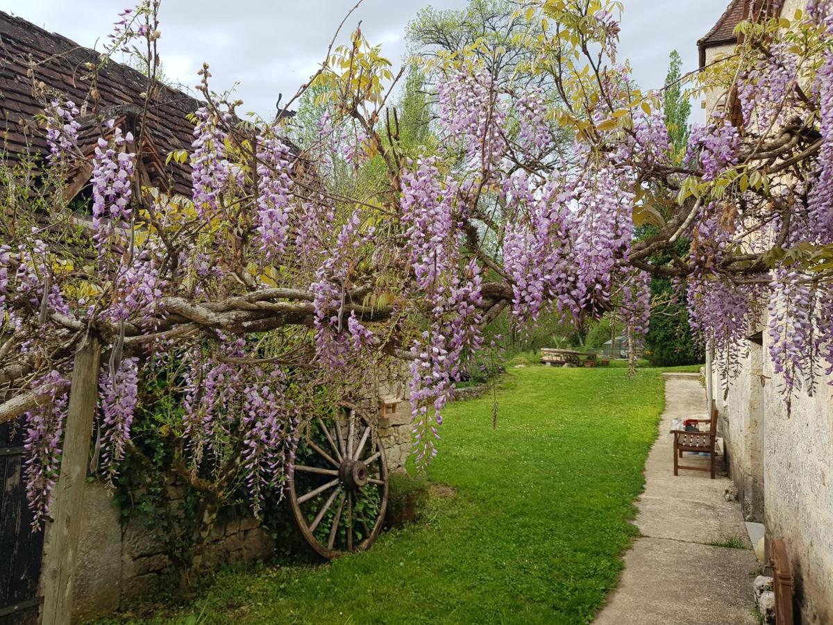 Le Moulin De Jules Et Akasha Panzió Murat Kültér fotó