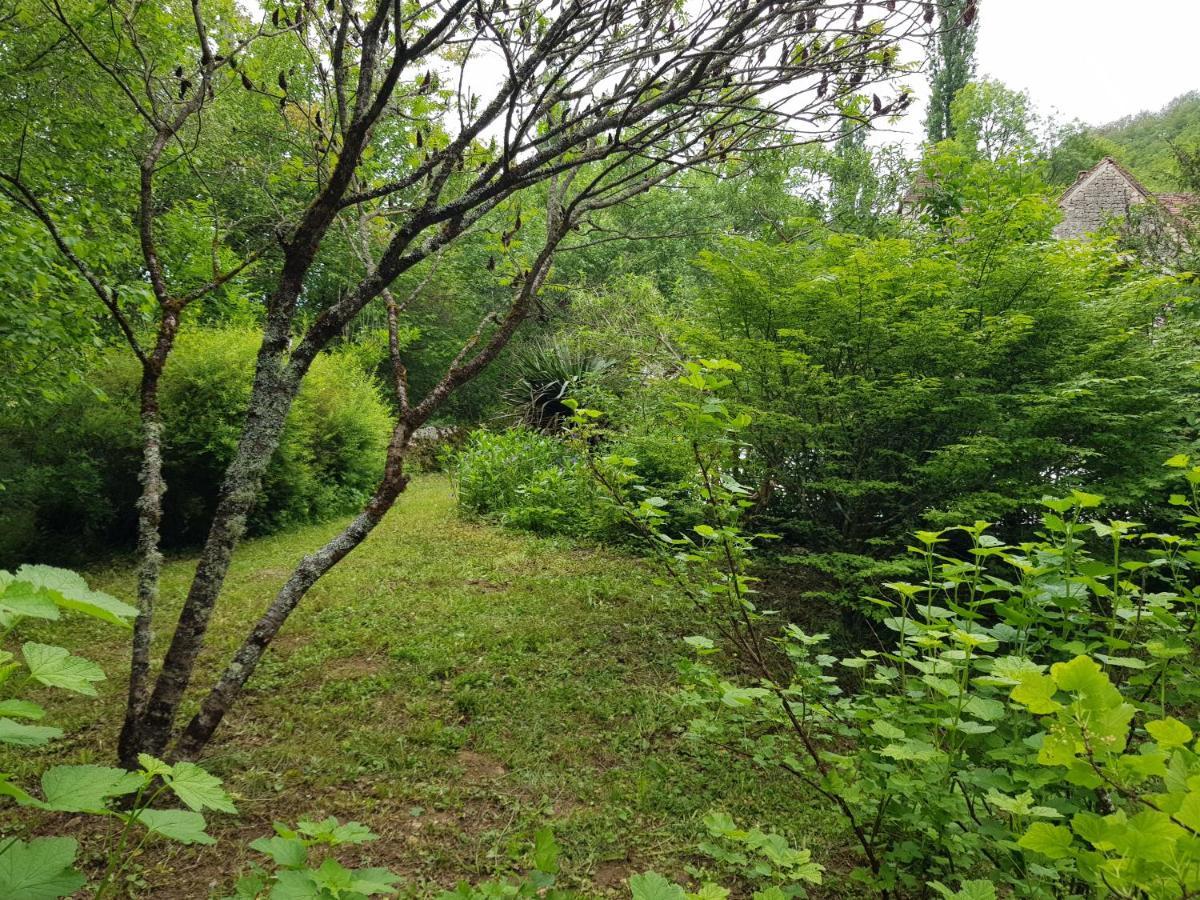 Le Moulin De Jules Et Akasha Panzió Murat Kültér fotó