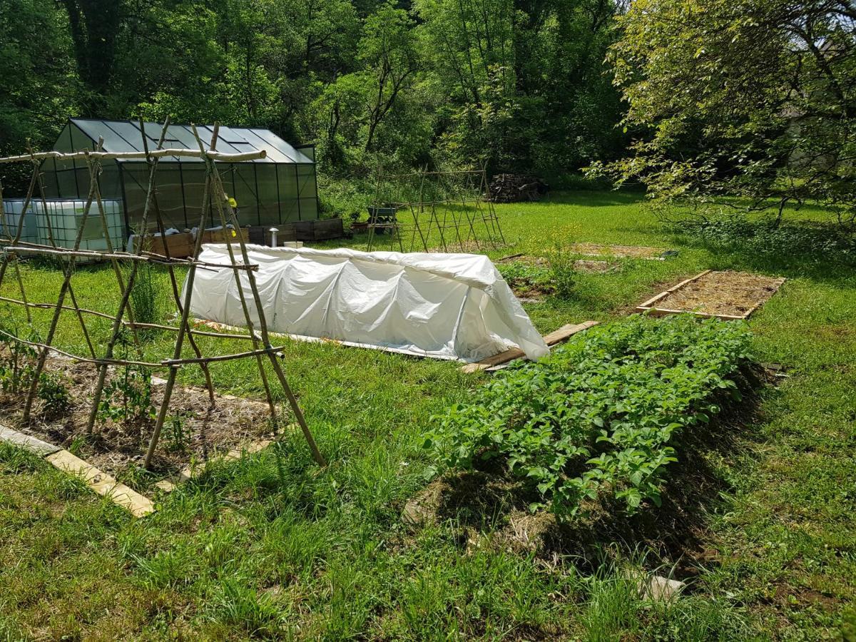 Le Moulin De Jules Et Akasha Panzió Murat Kültér fotó